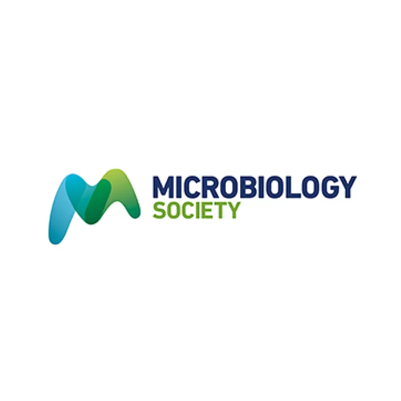 Positive keratinocytes in 3D cell culture models: a novel therapy for HPV-associated disease